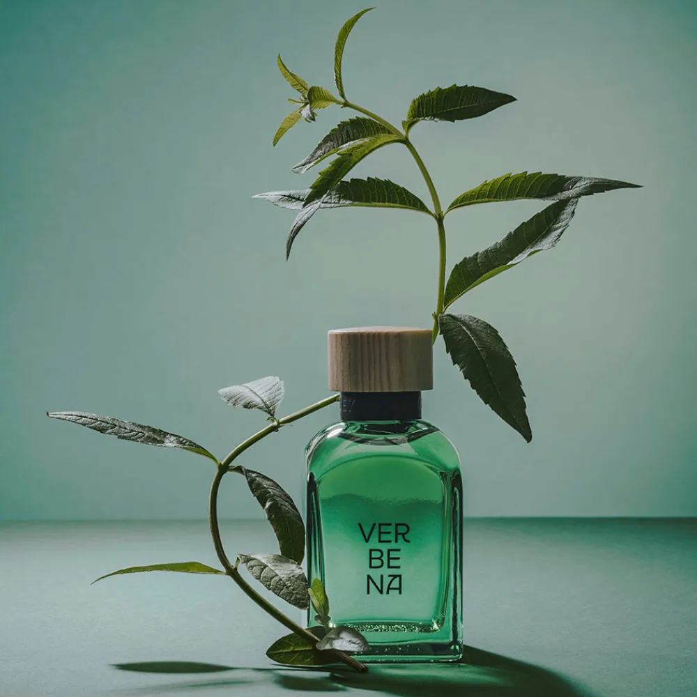 adolfo_dominguez_verbena__3.webp Adolfo Dominguez Verbena Man Limited Edition Cheap