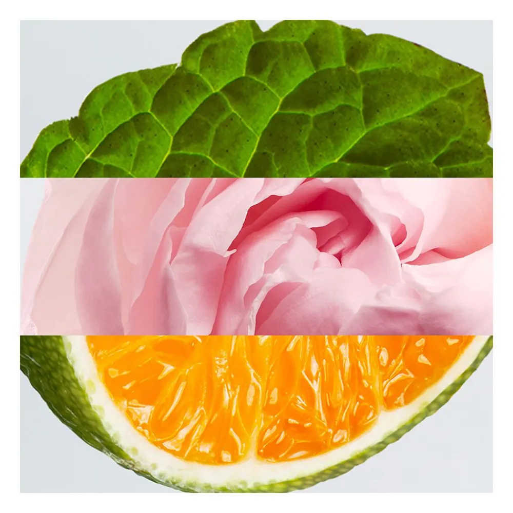 lacoste_eau_de_lacoste_l__3.webp Lacoste Eau De L.12.12 Rose Pour Elle Online
