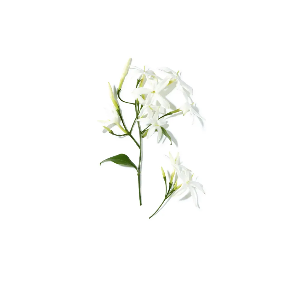lancome_o_de_lancome_2.webp Lancôme Lancome O De Lancome Online