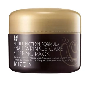 Mizon Snail Wrinkle Care Sleeping Mask Best