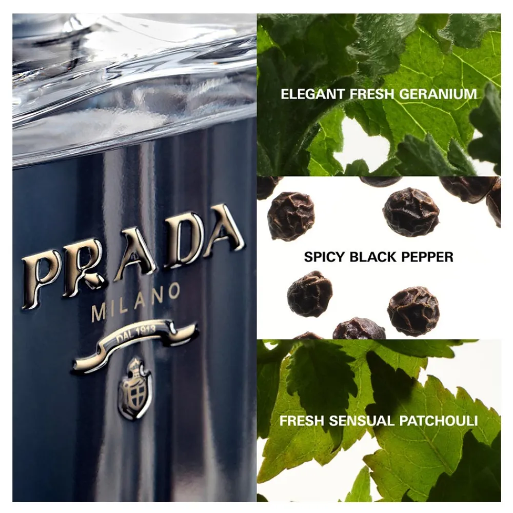 prada_lhomme_prada_2.webp Prada L'Homme Shop