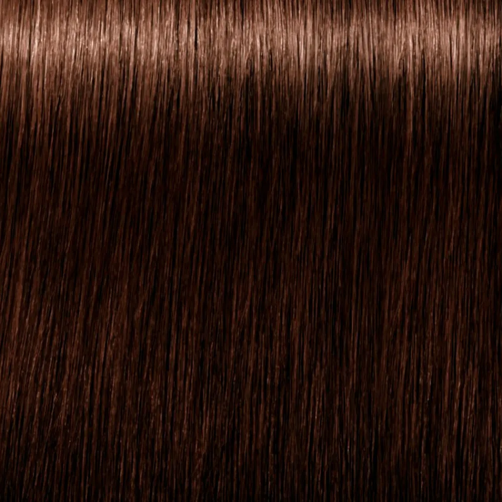 schwarzkopf_igora_royal_a_1.webp Schwarzkopf Igora Royal Absolutes Anti-Age Color Creme #5-60 Cheap