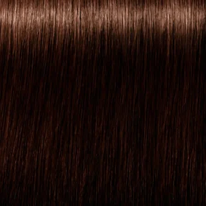 Schwarzkopf Igora Royal Absolutes Flash Sale