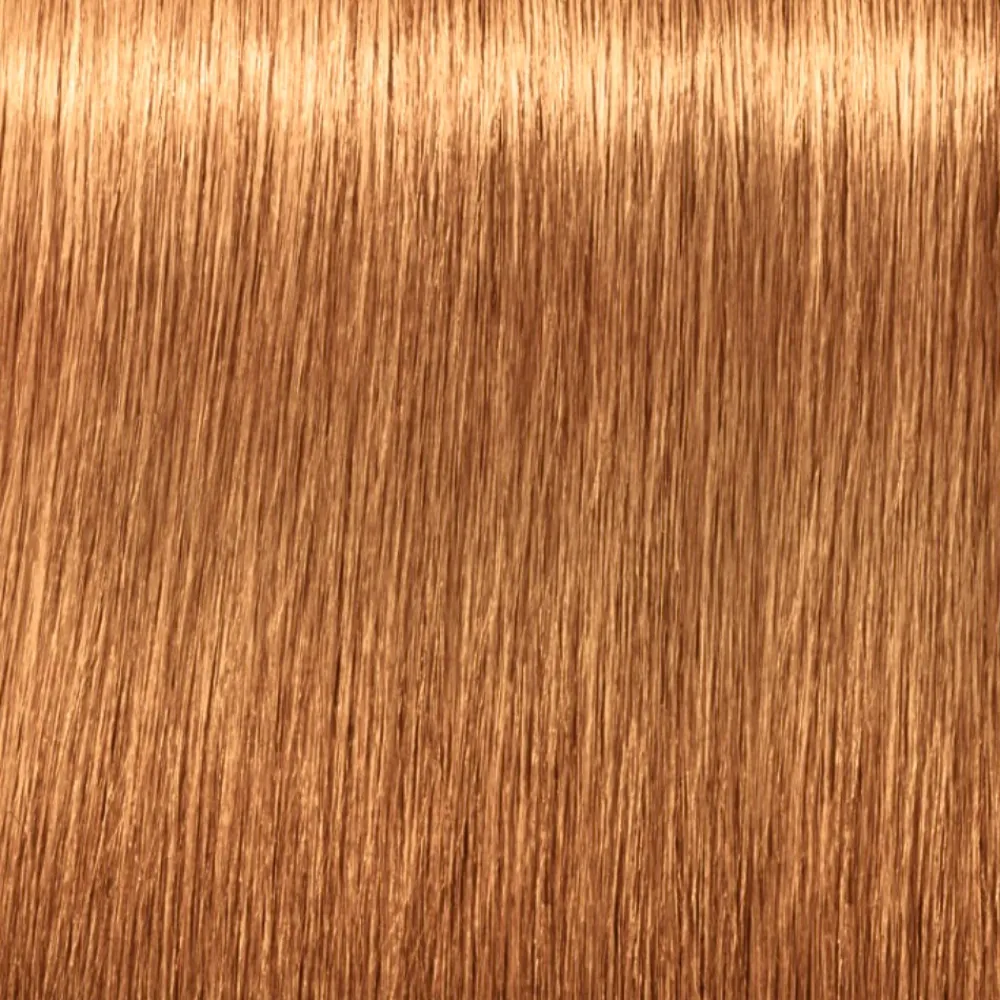 schwarzkopf_igora_royal_a_5.webp Schwarzkopf Igora Royal Absolutes Flash Sale