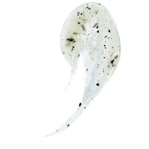 Teaology Exfoliante Facial Detox De Te Verde New
