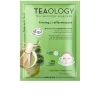 Teaology Face And Neck Matcha Tea Superfood Mask Shop